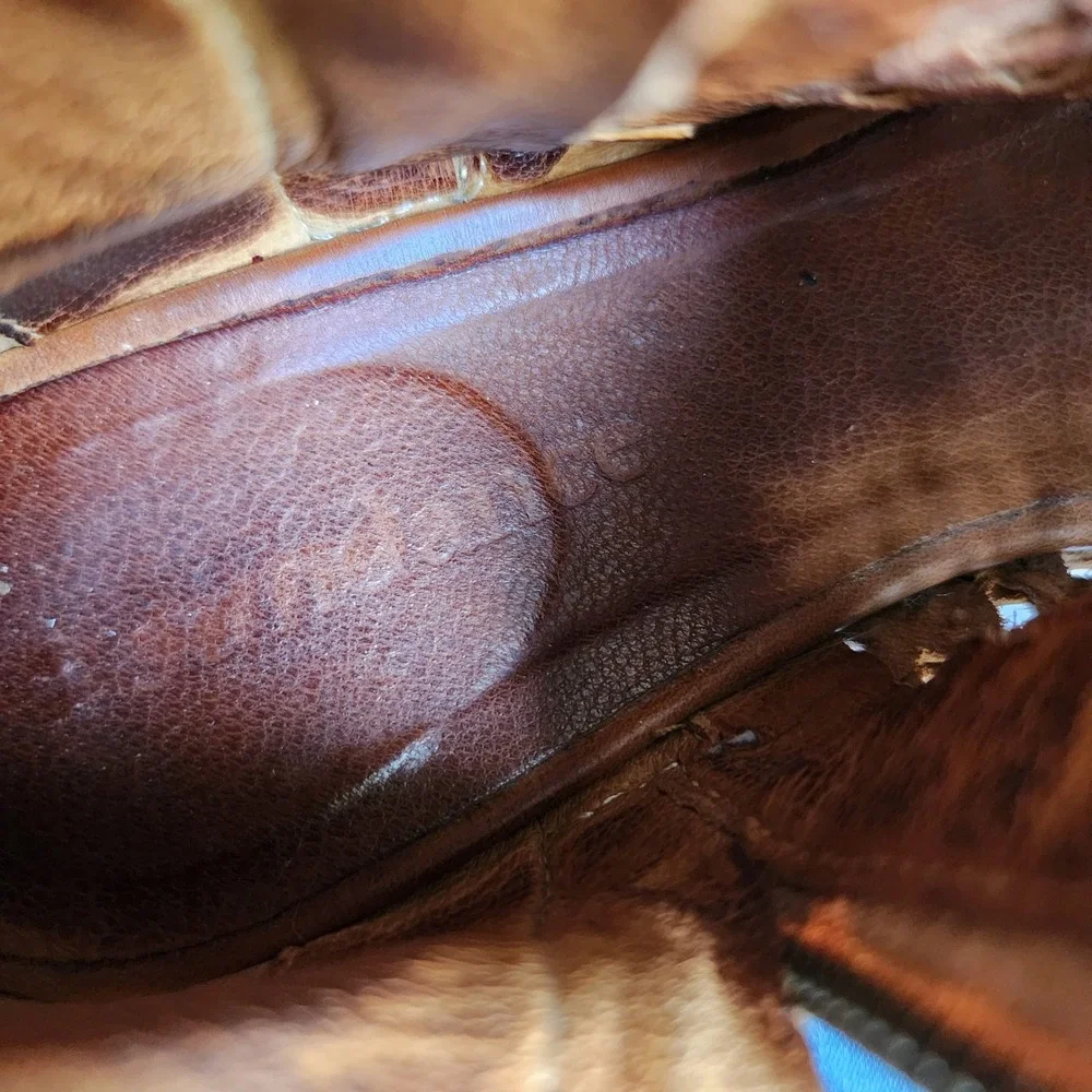 Sundance us brown